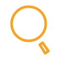Insights