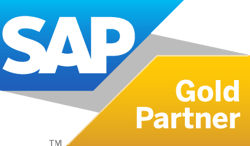 SAP Support