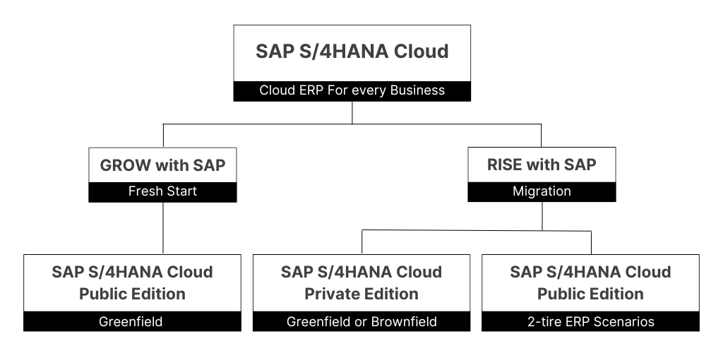 RISE with SAP and GROW with SAP - S/4HANA