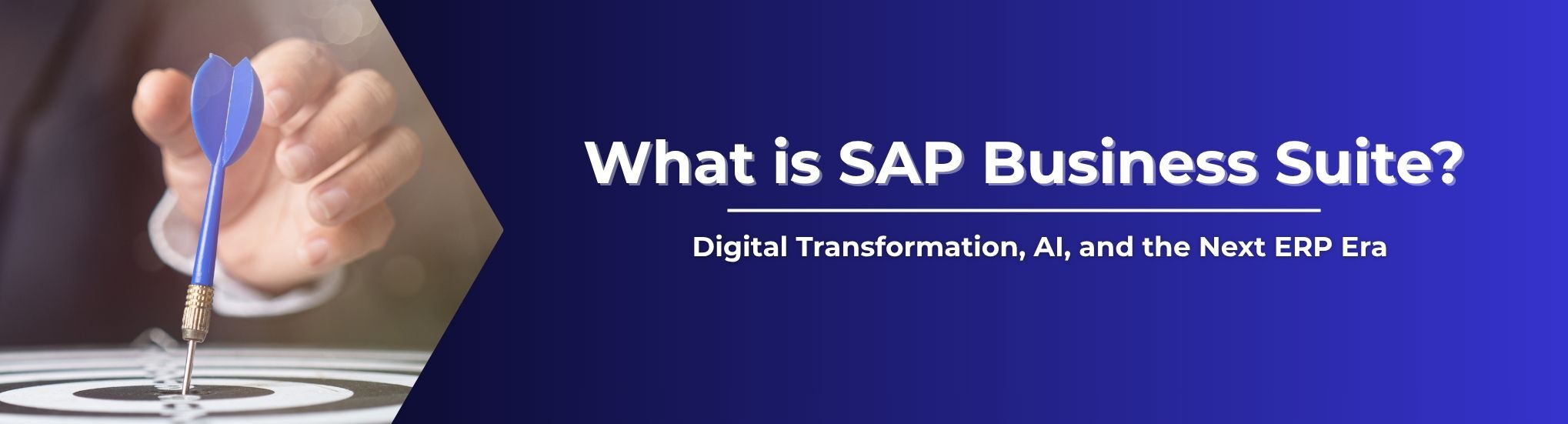 What is SAP Business Suite