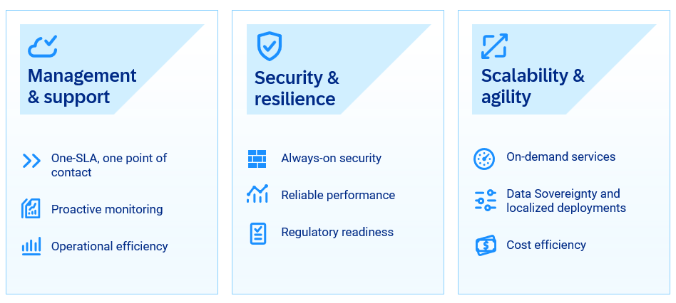 benefits of SAP Cloud ERP Private